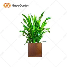 El más popular de China, macetero grande de Metal para árbol al aire libre, macetas de jardín, maceta grande de acero corten para flores, Metal